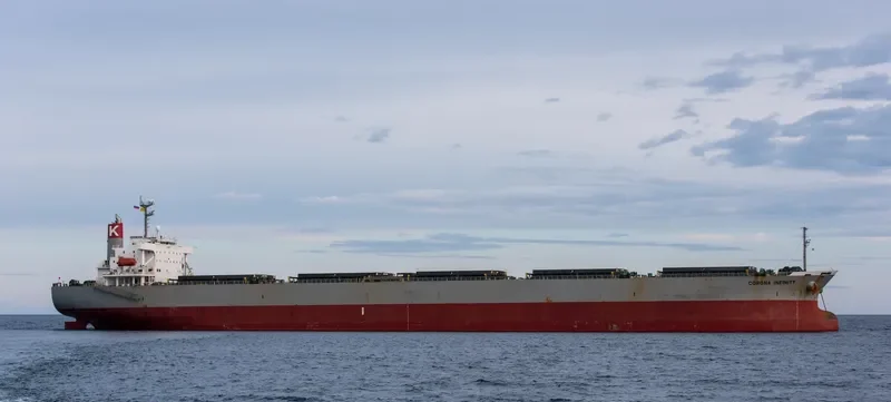 CORONA INFINITY Bulk Carrier IMO 9261932 photo 8