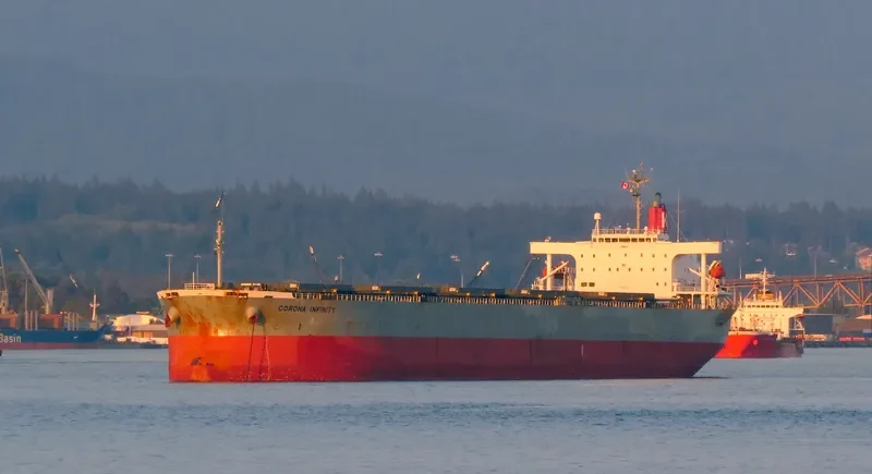 CORONA INFINITY Bulk Carrier IMO 9261932 photo 10