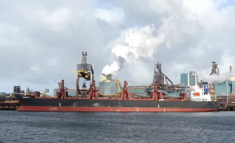 TAMARACK Bulk Carrier IMO 9261970 photo 4