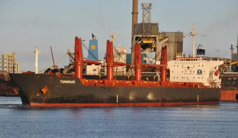 TAMARACK Bulk Carrier IMO 9261970 photo 5