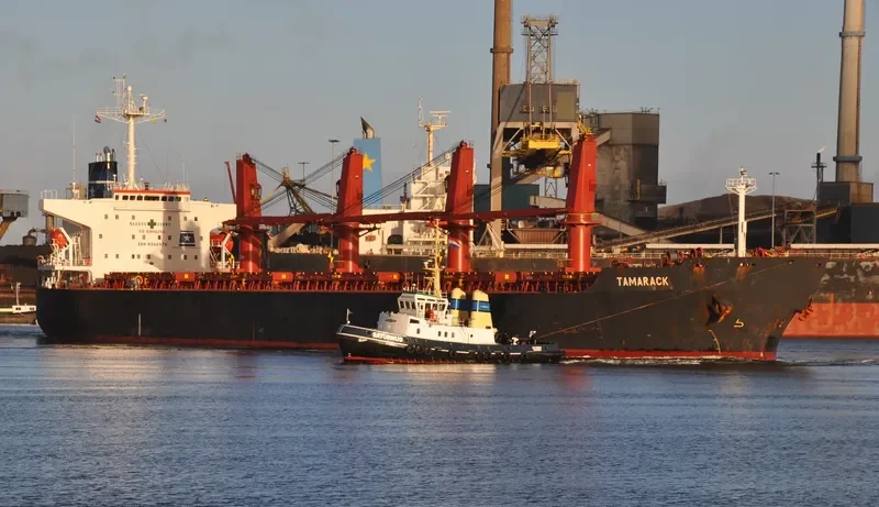 TAMARACK Bulk Carrier IMO 9261970 photo 6