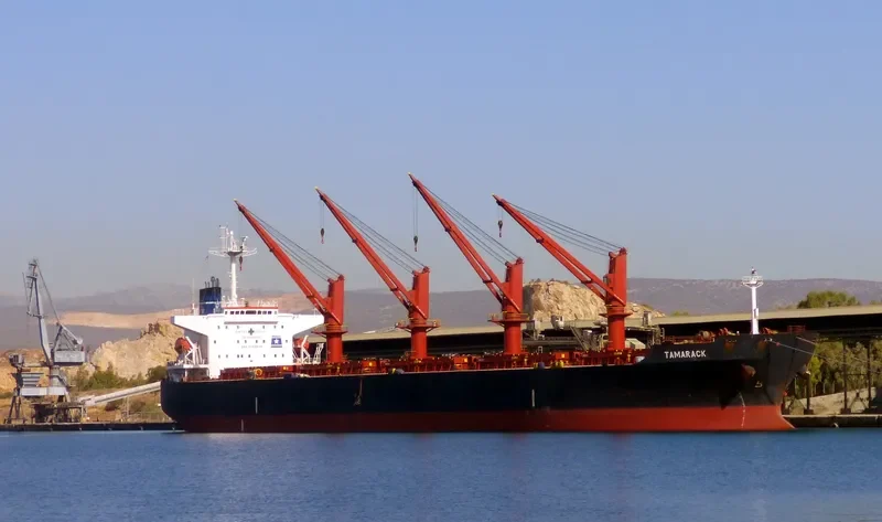 TAMARACK Bulk Carrier IMO 9261970 photo 7