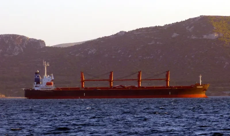 TAMARACK Bulk Carrier IMO 9261970 photo 8