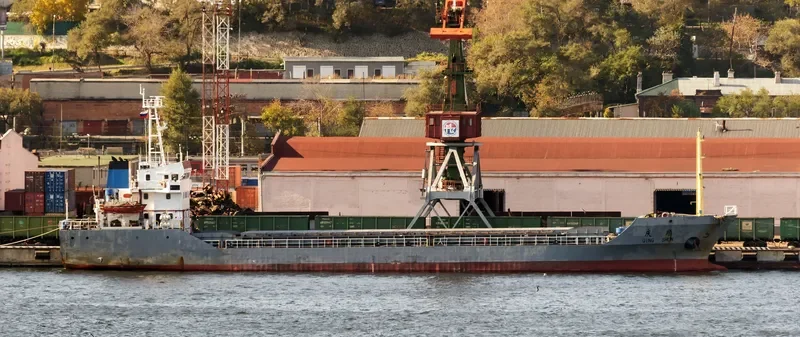 QING SHUN Bulk Carrier IMO 9262364 photo 3