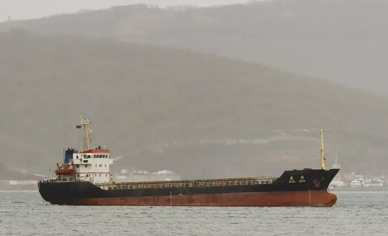 QING SHUN Bulk Carrier IMO 9262364 photo 7