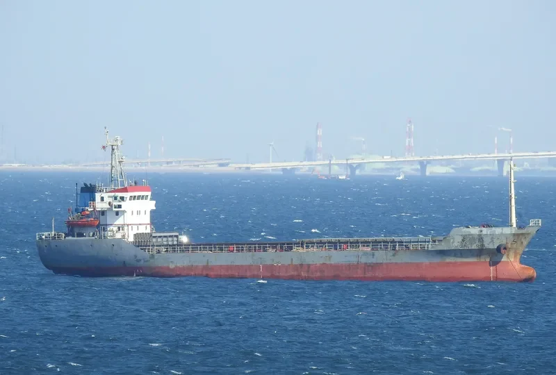 QING SHUN Bulk Carrier IMO 9262364 photo 10