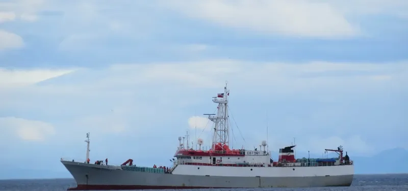 GLOBALPESCA I General Cargo IMO 9262376 photo 3