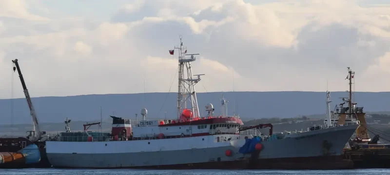 GLOBALPESCA I General Cargo IMO 9262376 photo 4