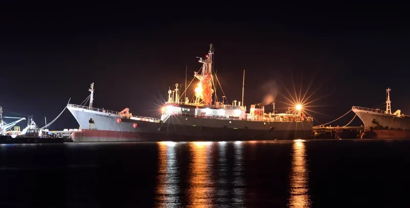 GLOBALPESCA I General Cargo IMO 9262376 photo 5