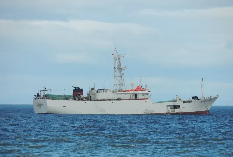 GLOBALPESCA II General Cargo IMO 9262388 photo 5