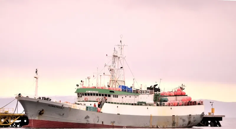 GLOBALPESCA II General Cargo IMO 9262388 photo 6