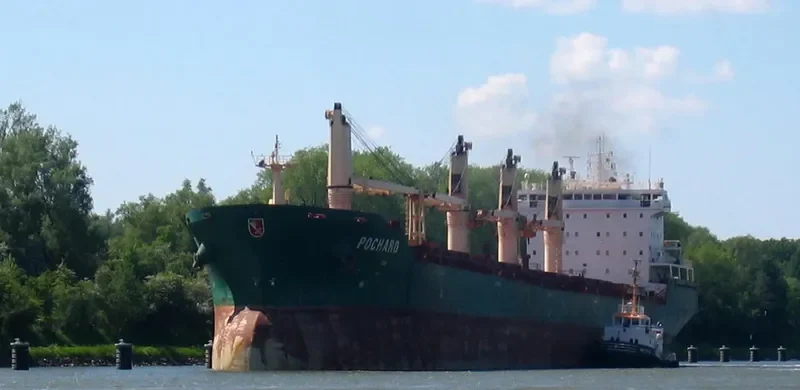 POCHARD S Bulk Carrier IMO 9262534