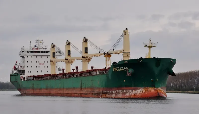 POCHARD S Bulk Carrier IMO 9262534 photo 4
