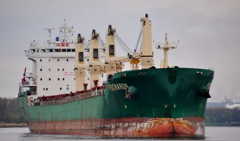 POCHARD S Bulk Carrier IMO 9262534 photo 6