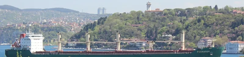 POCHARD S Bulk Carrier IMO 9262534 photo 7