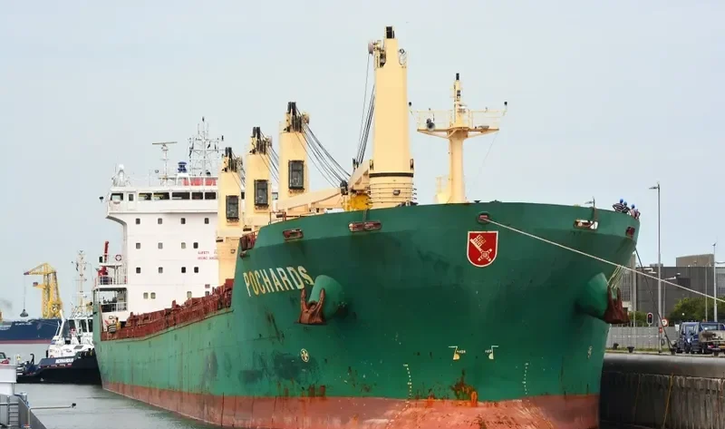 POCHARD S Bulk Carrier IMO 9262534 photo 10
