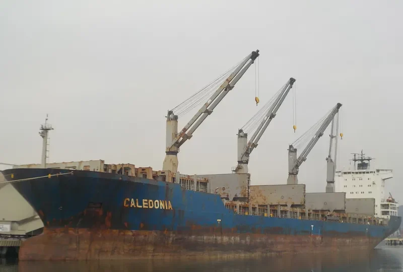 MSC CALEDONIA II General Cargo IMO 9262546