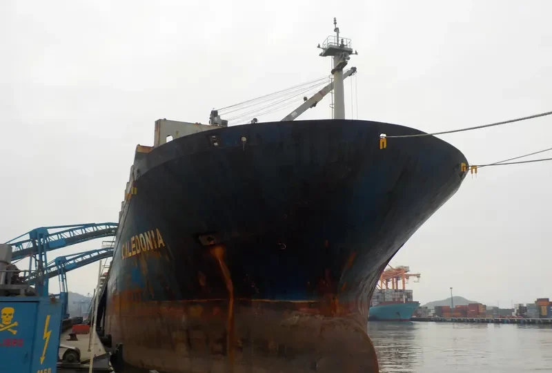 MSC CALEDONIA II General Cargo IMO 9262546 photo 4