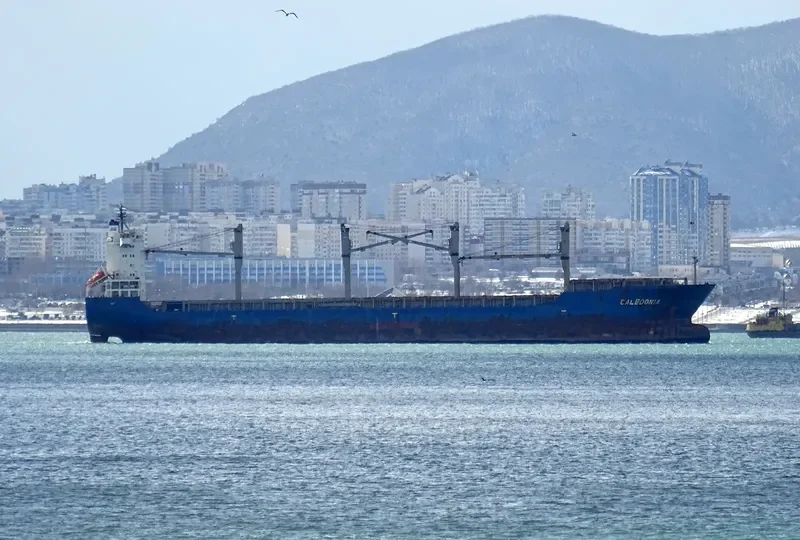 MSC CALEDONIA II General Cargo IMO 9262546 photo 7