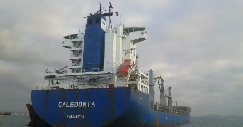 MSC CALEDONIA II General Cargo IMO 9262546 photo 8