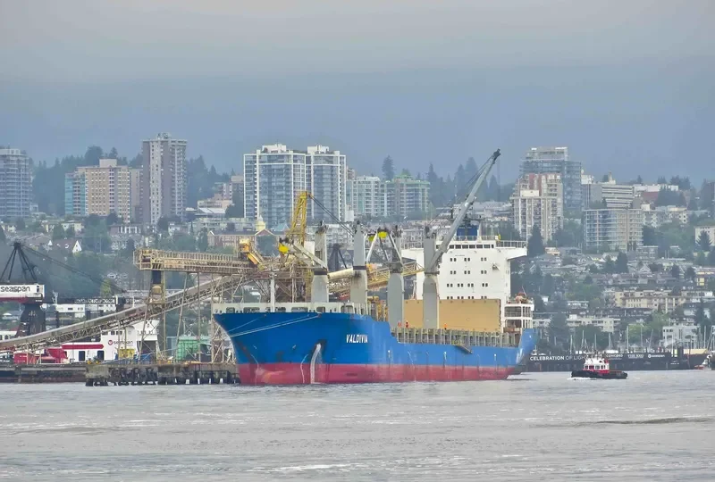 HUA MAO 369 General Cargo IMO 9262558 photo 8