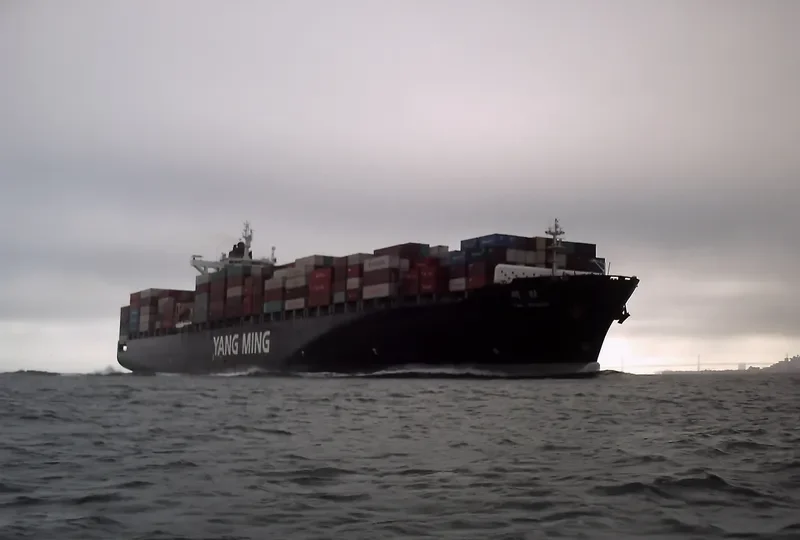 ARGUS Container Ship IMO 9262716 photo 5