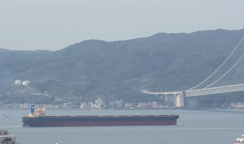 AGIOS CHARALAMBOS Bulk Carrier IMO 9262730 photo 5