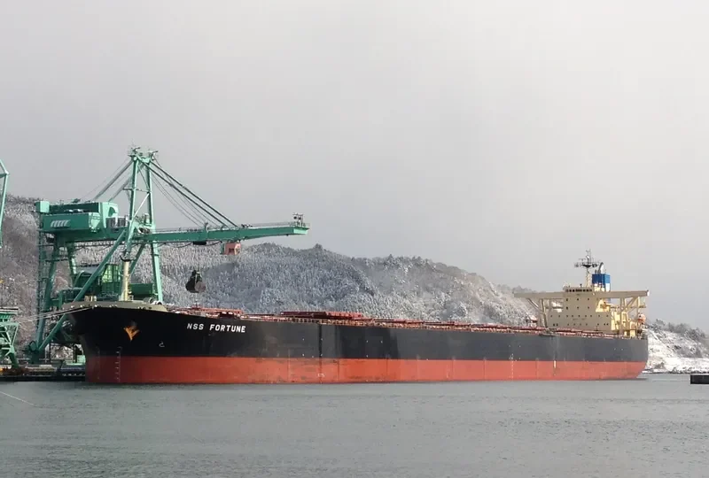 AGIOS CHARALAMBOS Bulk Carrier IMO 9262730 photo 8