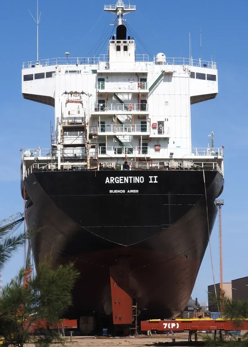 ARGENTINO II Container Ship IMO 9262871 photo 3
