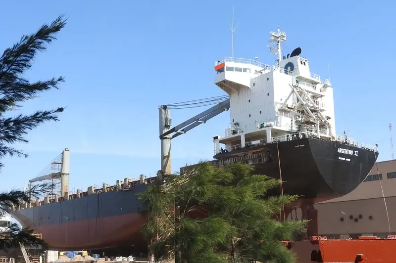 ARGENTINO II Container Ship IMO 9262871 photo 4