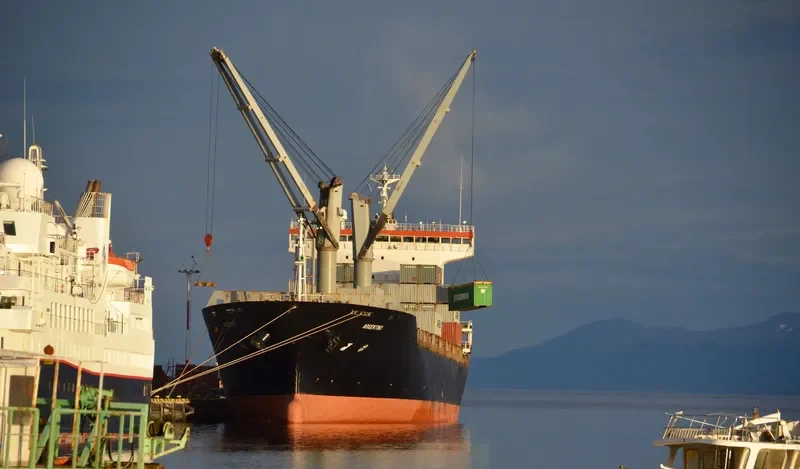 ARGENTINO II Container Ship IMO 9262871 photo 8