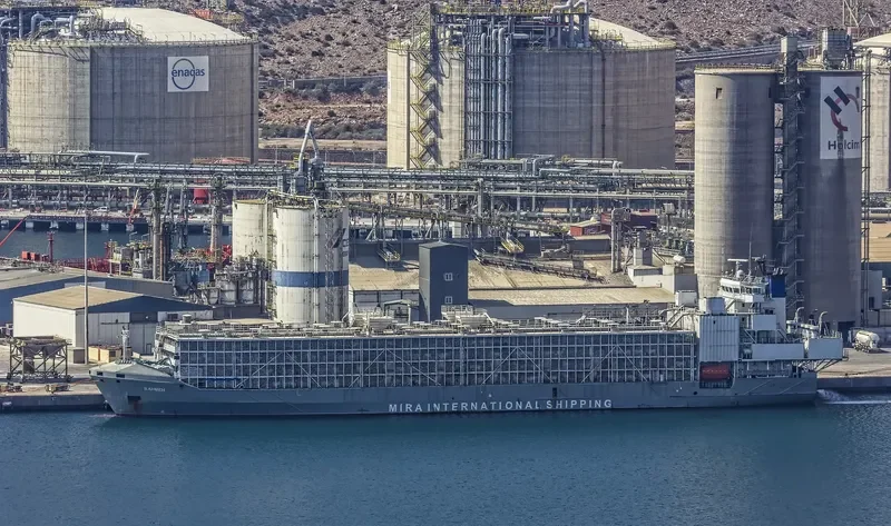 GULF LIVESTOCK 1 General Cargo IMO 9262883 photo 2