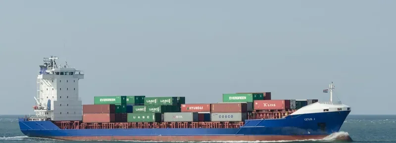 GULF LIVESTOCK 1 General Cargo IMO 9262883 photo 10
