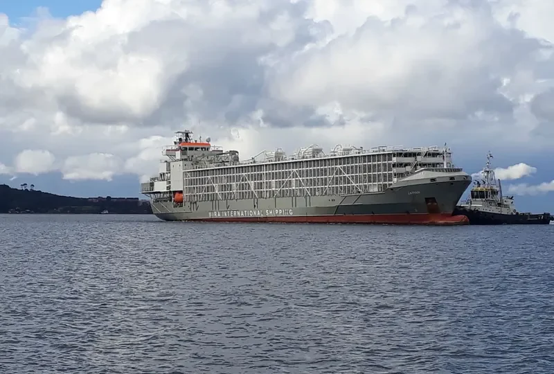 JAWAN General Cargo IMO 9262895