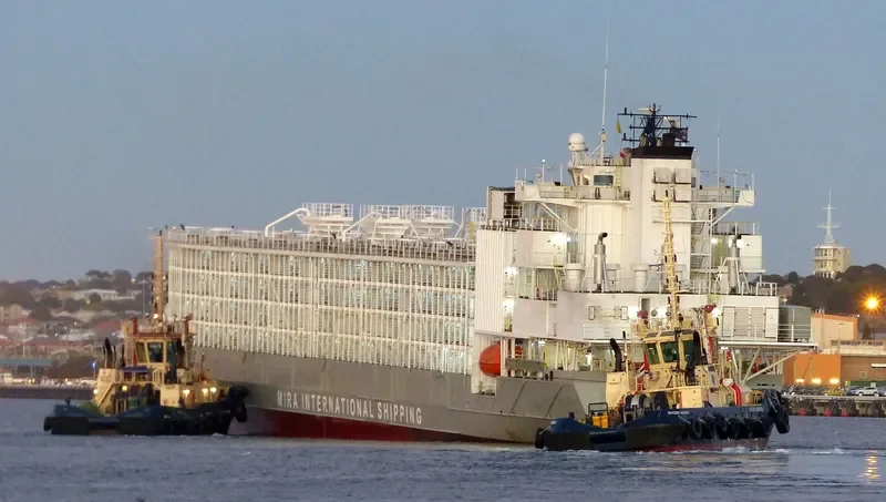 JAWAN General Cargo IMO 9262895 photo 2
