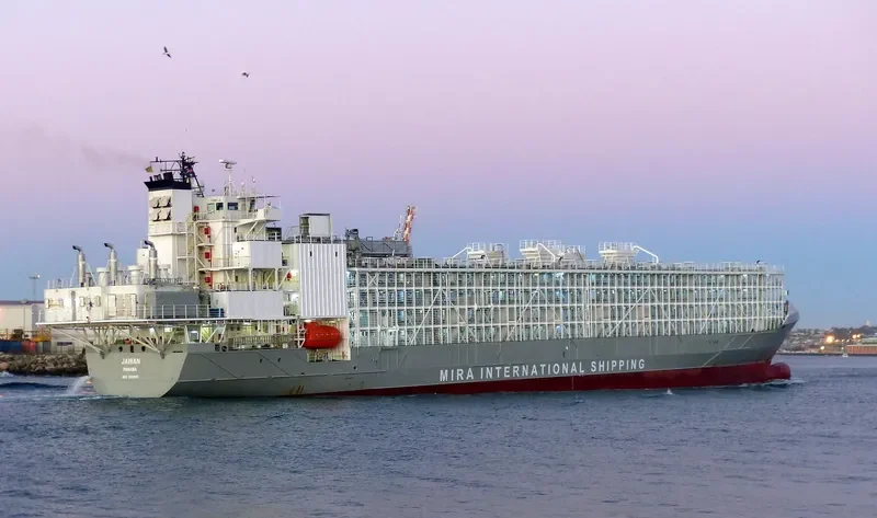 JAWAN General Cargo IMO 9262895 photo 3