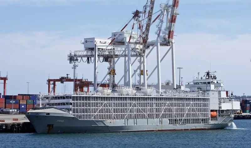 JAWAN General Cargo IMO 9262895 photo 9