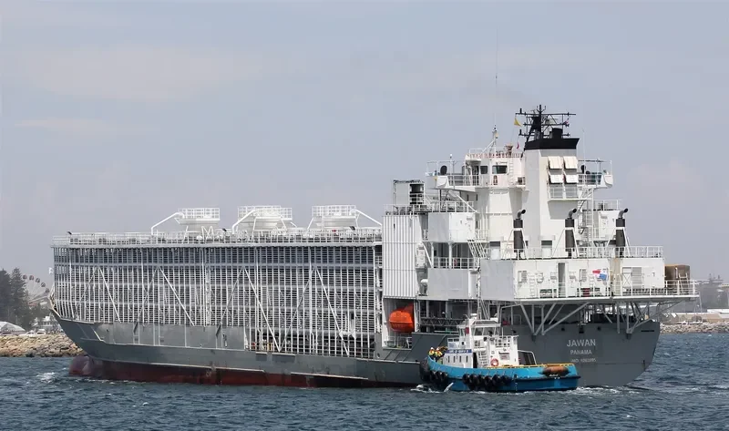 JAWAN General Cargo IMO 9262895 photo 10