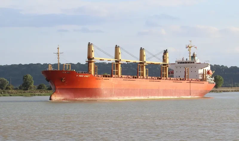 GOLDEN BRIGHT Bulk Carrier IMO 9262986 photo 4