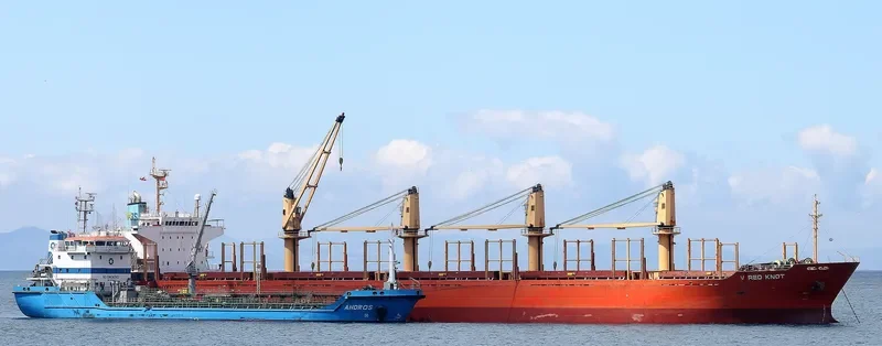 GOLDEN BRIGHT Bulk Carrier IMO 9262986 photo 5
