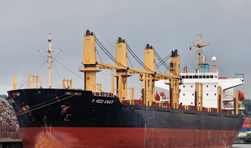 GOLDEN BRIGHT Bulk Carrier IMO 9262986 photo 7