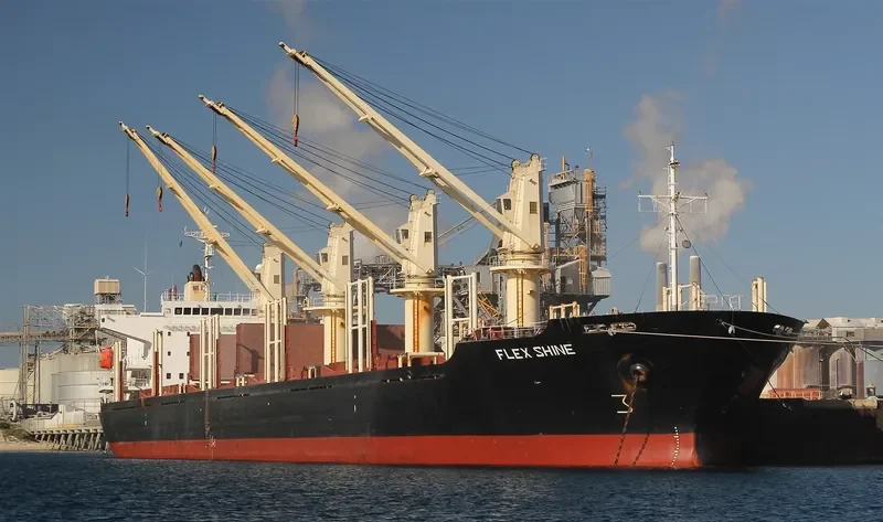GOLDEN BRIGHT Bulk Carrier IMO 9262986 photo 8
