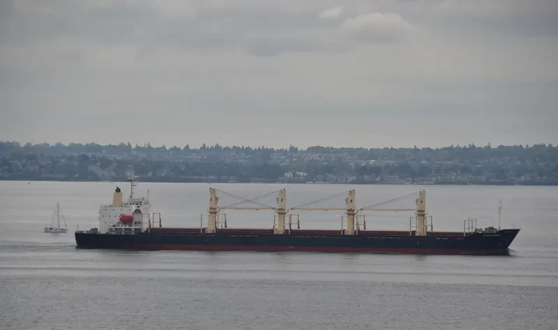 GOLDEN BRIGHT Bulk Carrier IMO 9262986 photo 9