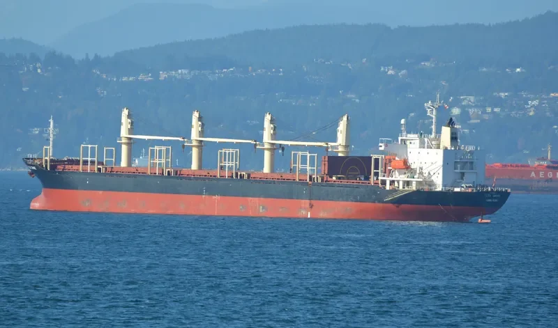 GOLDEN BRIGHT Bulk Carrier IMO 9262986 photo 10