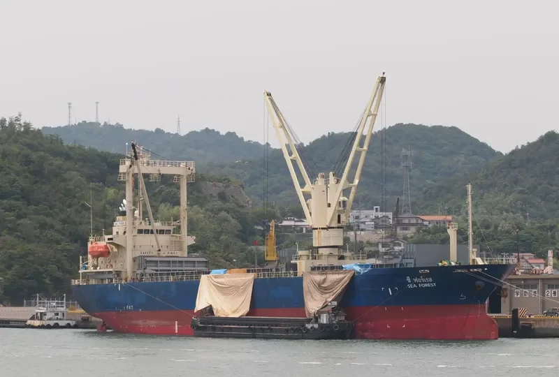SEA FOREST General Cargo IMO 9263057 photo 4
