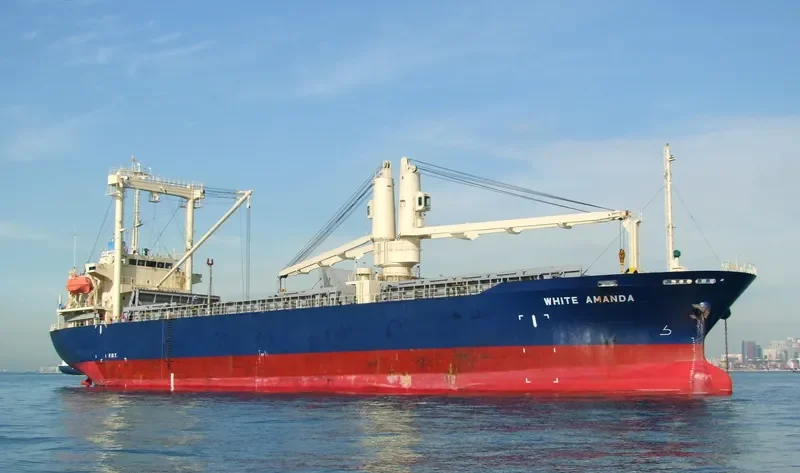 SEA FOREST General Cargo IMO 9263057 photo 5