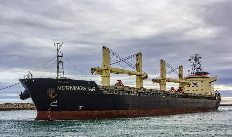 MORNINGSTAR Bulk Carrier IMO 9263069 photo 3