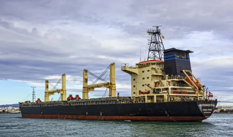 MORNINGSTAR Bulk Carrier IMO 9263069 photo 4