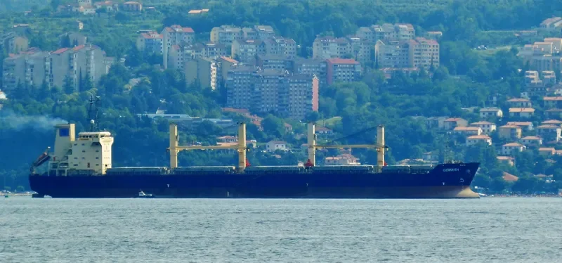 MORNINGSTAR Bulk Carrier IMO 9263069 photo 7