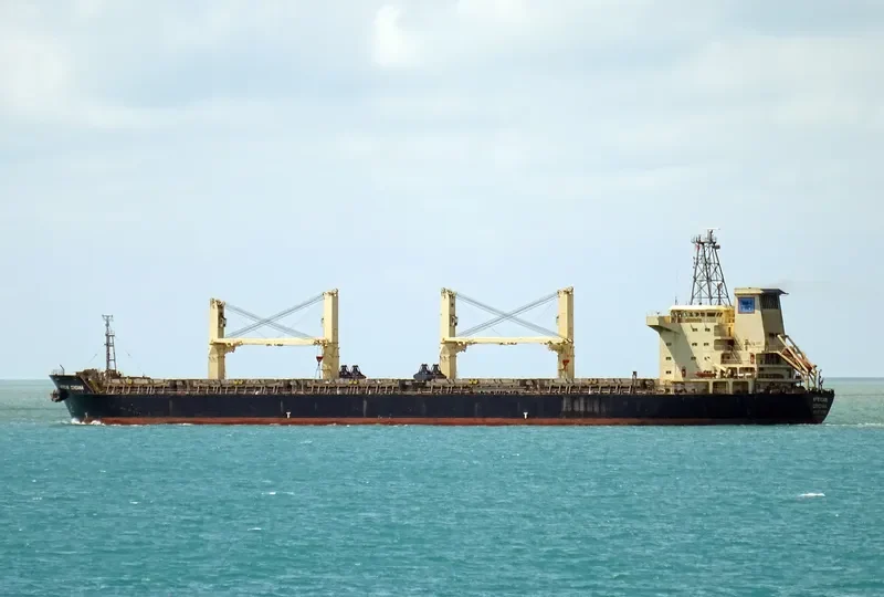 CENDANA Bulk Carrier IMO 9263071 photo 3
